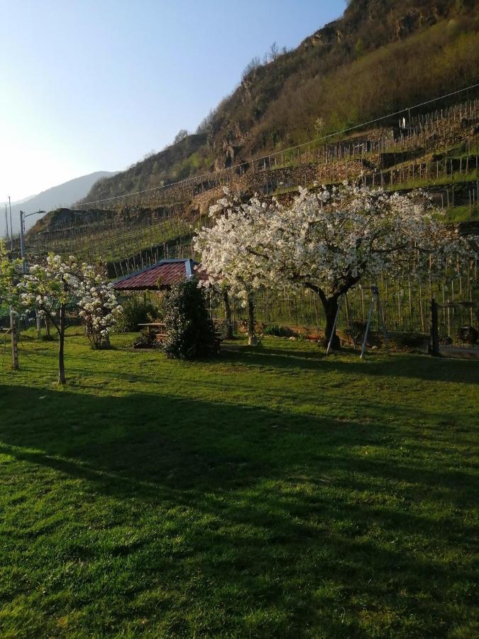 Casa Vacanze La Ca Del Cunfec Sondrio Dış mekan fotoğraf