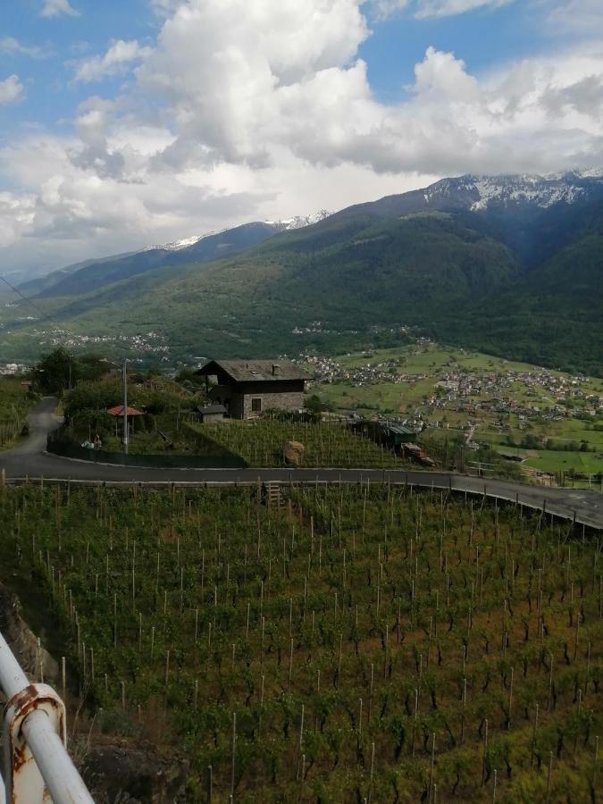 Casa Vacanze La Ca Del Cunfec Sondrio Dış mekan fotoğraf