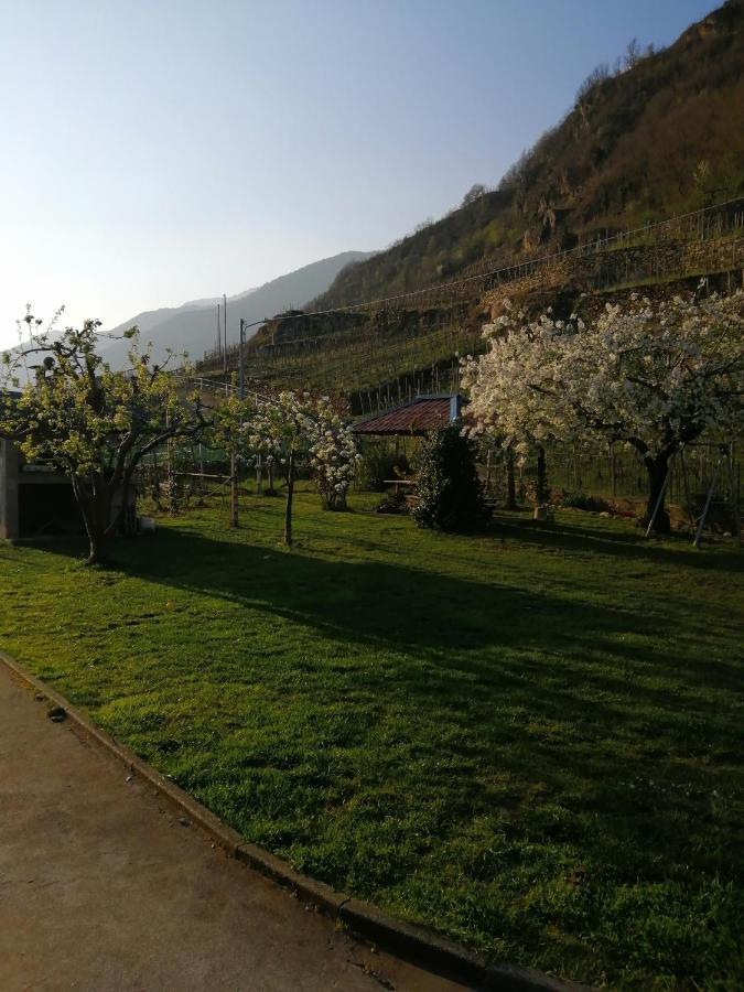 Casa Vacanze La Ca Del Cunfec Sondrio Dış mekan fotoğraf