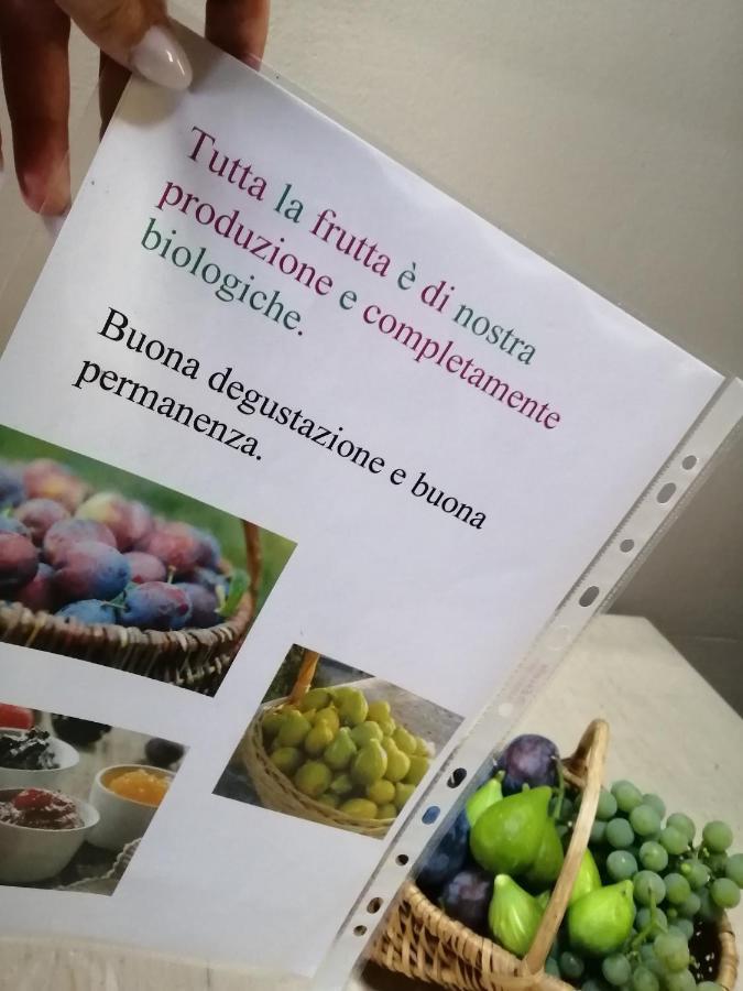 Casa Vacanze La Ca Del Cunfec Sondrio Dış mekan fotoğraf